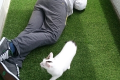 DSC_0106-e1511724756893