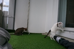 DSC_0109-e1511724790185