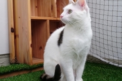 DSC_0110-e1511724734345