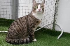 DSC_0112-e1511724709881