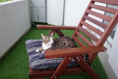 DSC_0128-e1511724771560