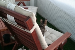 DSC_0130-e1511724871581