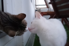 DSC_0143-e1511724891672