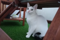 DSC_0147-e1511724853267