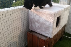 DSC_0319-e1511724664954