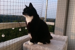 DSC_0320-e1511724684730