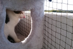 DSC_0333-e1511724641384