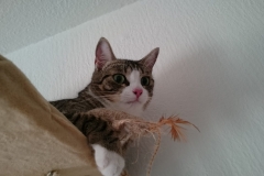 DSC_0117-e1511725310169