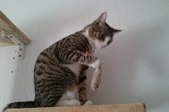 DSC_0122-e1511725263599