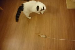 DSC_0389-e1511725232107