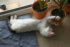 2016-10-14 09.50.25-1920x1440