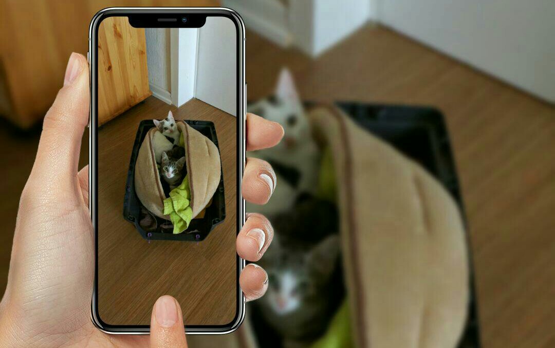 Maja und Lilli sind da!