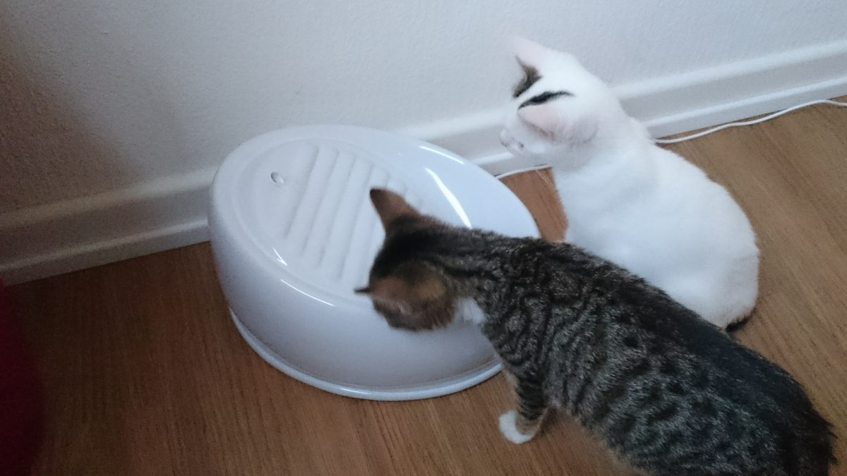 Mama, wir haben Durst!