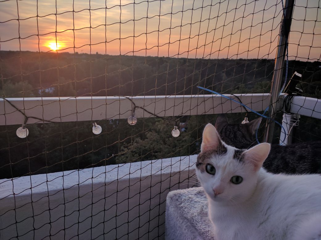 Raus mit euch! – Teil 2, Balkongestaltung