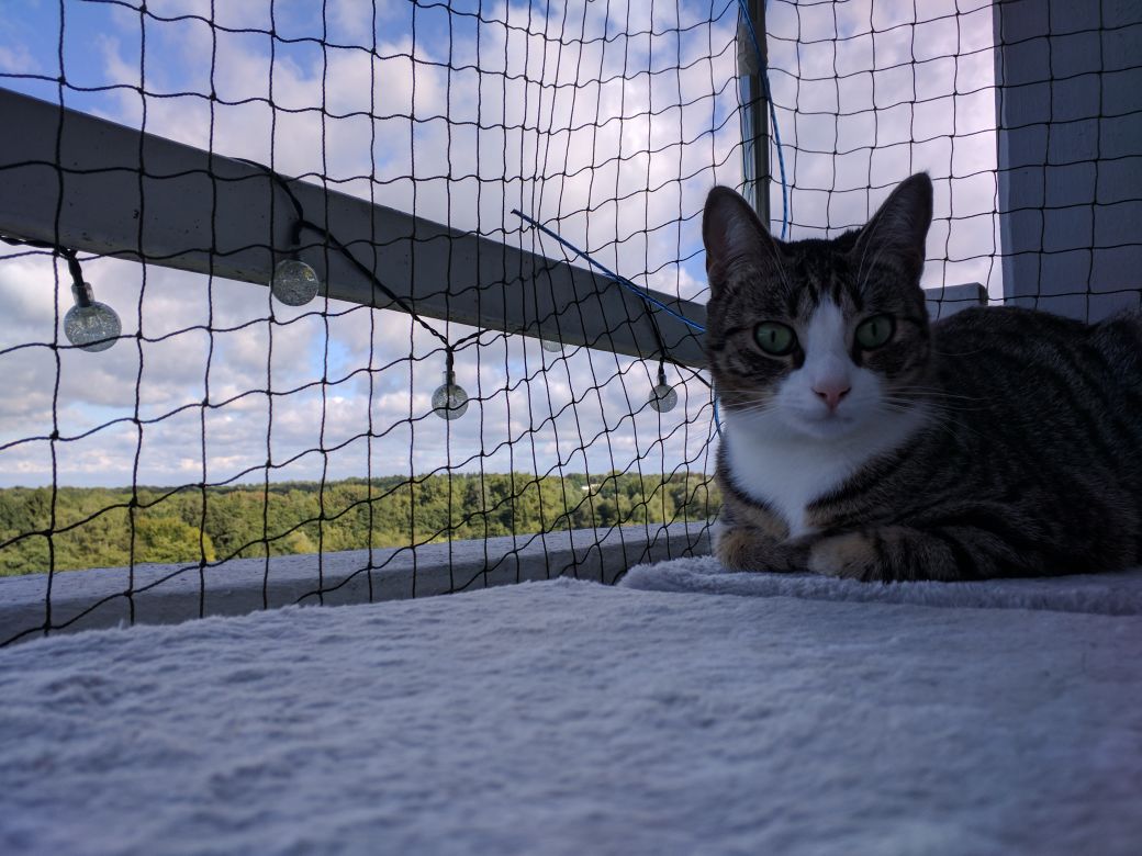 Raus mit euch! – Teil 1, Balkonsicherung