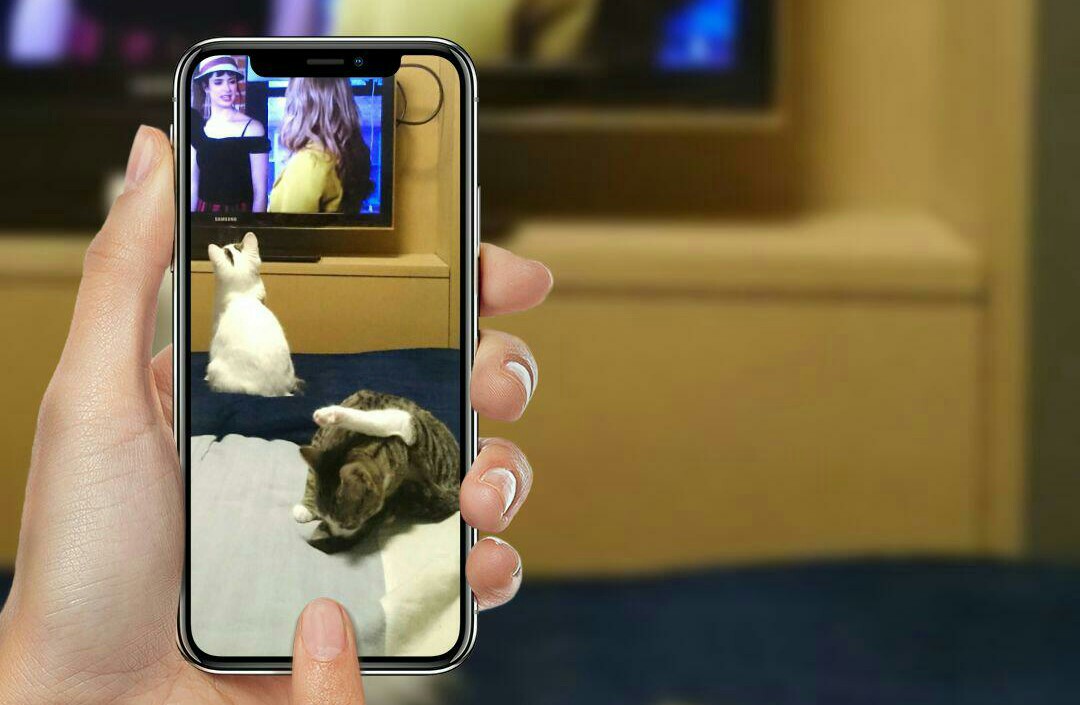 Ein Griff in die Fotokiste