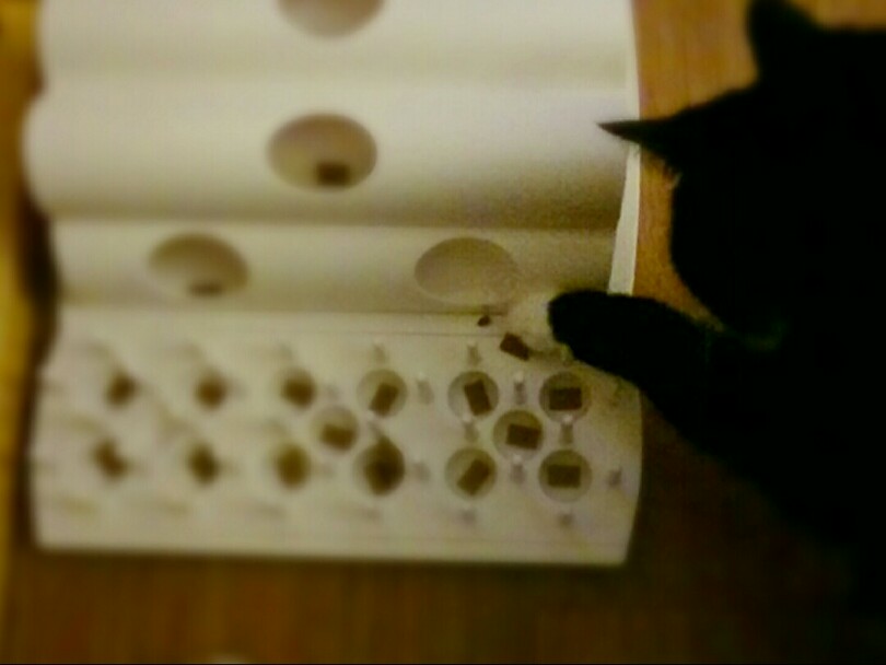 Noch mehr Gefummel – Ladys geschickte Pfötchen